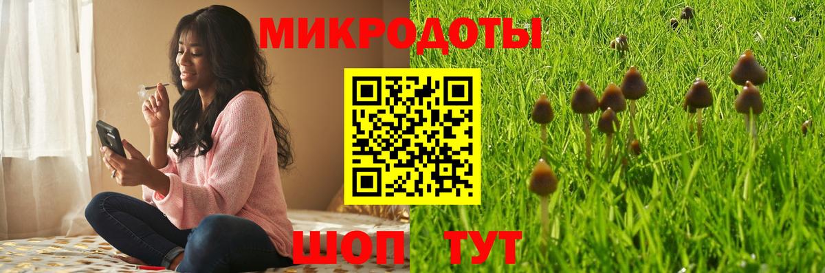 Елабуга  Псилоцибиновые грибы мухоморы  купить наркотики цена  Вход с VPN  Псилоцибиновые грибы MAGIC MUSHROOMS 
